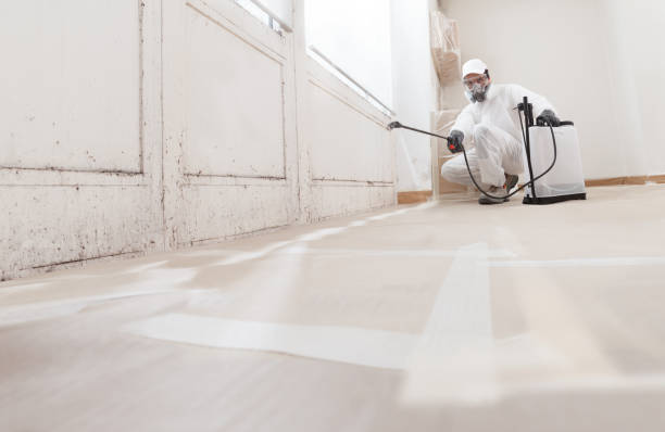 24/7 Emergency Basement Mold Removal experts in Lakehurst, NJ